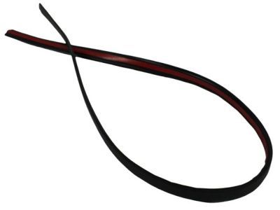 Ram 55372457AB MOLDING Roof