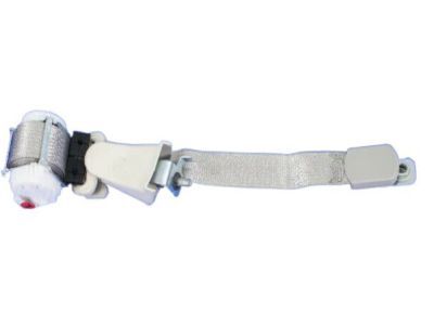 Mopar ZV731S3AB Outer Belt, Rear Driver Side