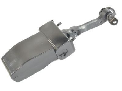 Ram Door Check - 68169379AE