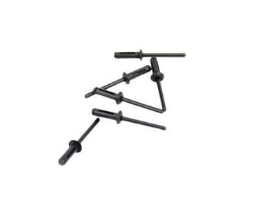 Jeep 6004212 RIVET Blind Expansion (R-Lok)
