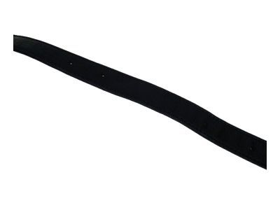 Chrysler XC39TZZAG MOLDING Windshield