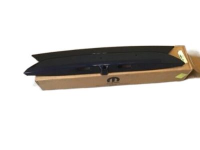 Chrysler 6EQ67KBXAB APPLIQUE License Lamp
