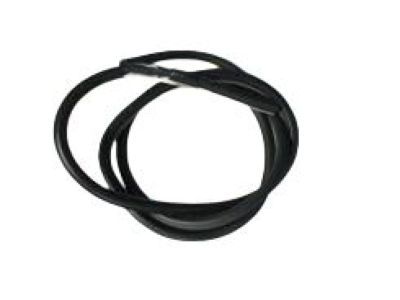 Dodge Magnum Weather Strip - UQ20BD1AA