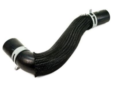 Chrysler 5278202AE HOSE Radiator Outlet