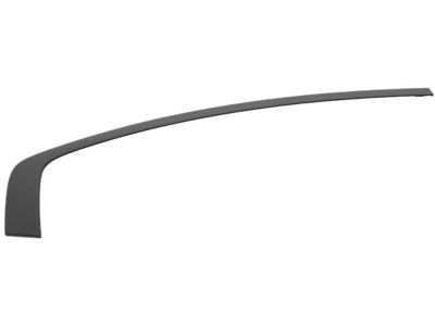 Mopar 57010506AM Molding Day Light Opening Rear Door