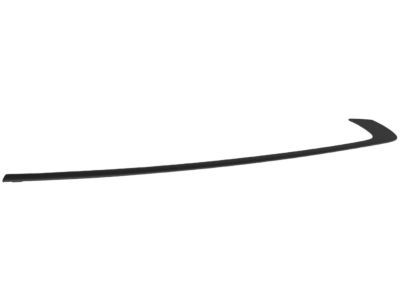 Mopar 57010506AM Molding Day Light Opening Rear Door