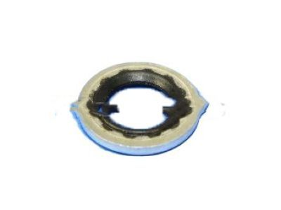 Dodge 68086125AA Liquid Line O-Ring