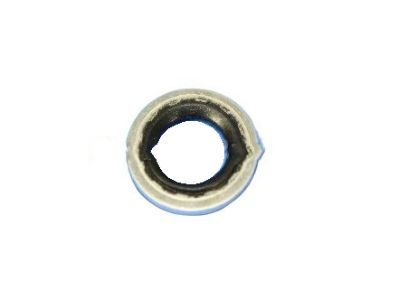 Dodge 68086125AA Liquid Line O-Ring