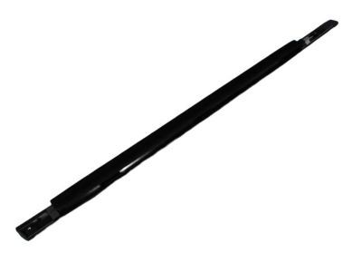 Dodge 4805997AE WEATHERSTRIP Front Door Belt Outer