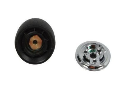 Ram 1RV42DX9AB KNOB Gearshift