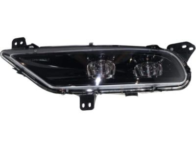 Mopar 68294009AA Fog Lamp Assembly, Front Driver Side
