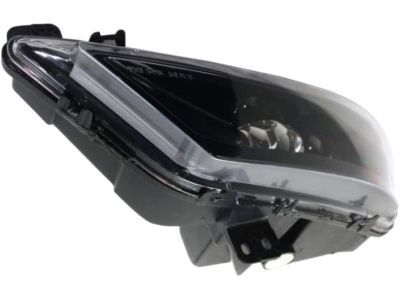 Mopar 68294009AA Fog Lamp Assembly, Front Driver Side