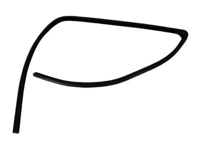 Dodge 55276181AF SEAL Glass Run Front