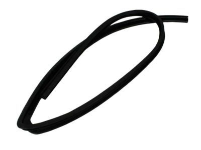Dodge 55276181AF SEAL Glass Run Front