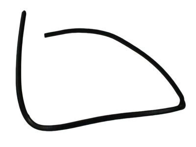 Dodge 55276181AF SEAL Glass Run Front