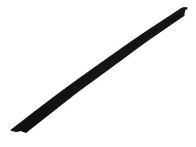 Dodge Nitro Door Seal - 55360933AC