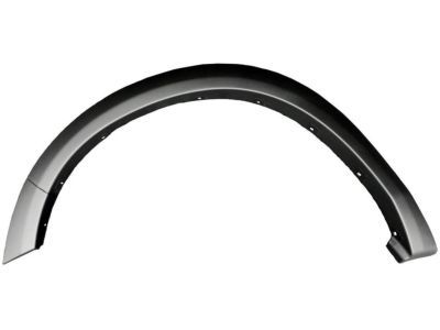 Ram 1TD27TZZAG MOLDING Wheel Opening Flare