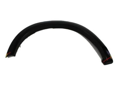 Ram 1TD27TZZAG MOLDING Wheel Opening Flare