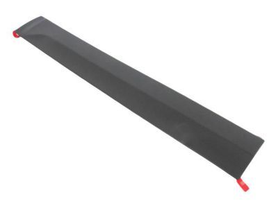Jeep 5182567AC MOLDING Front Door
