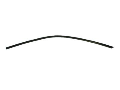 Mopar 57010504AJ Molding Day Light Opening Front Door
