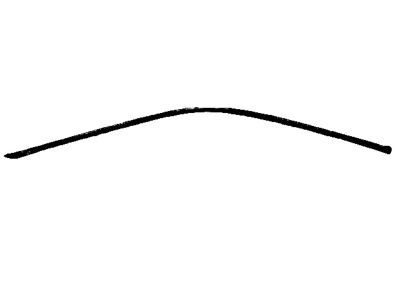 Mopar 57010504AJ Molding Day Light Opening Front Door