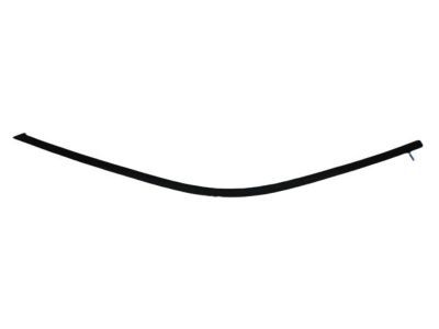 Mopar 57010504AJ Molding Day Light Opening Front Door