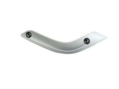 Jeep 1RE66JSLAE BEZEL Grab Handle