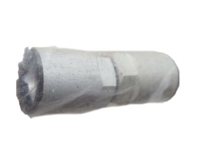 Jeep 56053033AA NUT Tire Pressure Sensor