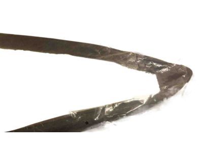 Ram 4894687AC CHANNEL SLIDING DOOR Glass Rear