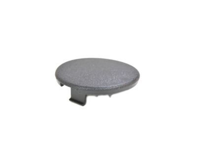 Mopar 5RT10DX9AB Armrest Plug, Black