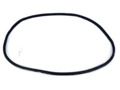 Mopar 68145007AB Weatherstrip On Body, Front Inner