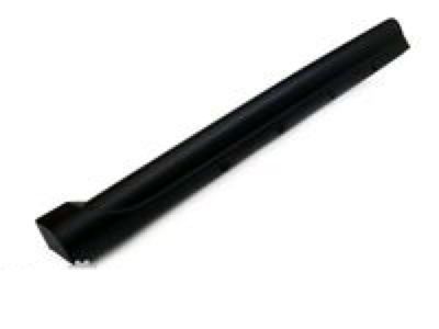 Dodge 1KL39DX9AF MOLDING Door Sill