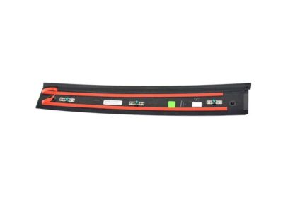 Mopar 68234033AB Applique B Pillar