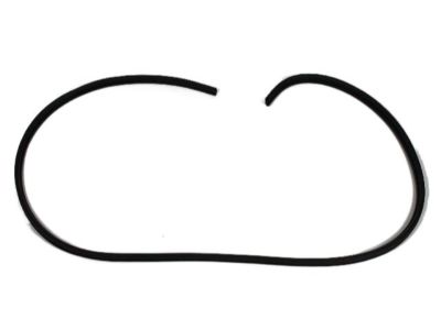 Dodge 55362042AC SEAL Front Door