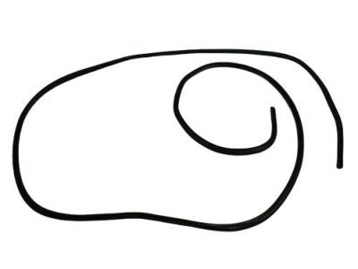 Dodge 5174606AA SEAL Sunroof Glass