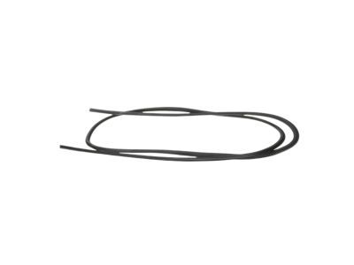 Dodge 5174606AA SEAL Sunroof Glass