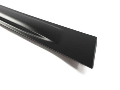 Mopar UA98SW1AB Molding Rear Door