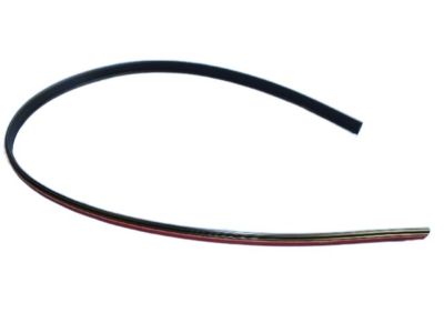 Dodge WS59RXFAB Molding - Roof