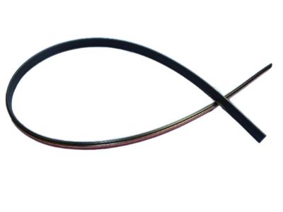 Dodge WS59RXFAB Molding - Roof