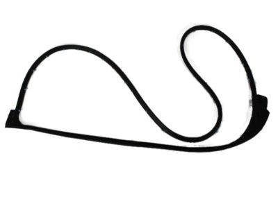 Mopar 5076867AC Weatherstrip Front Door Mounted Includes Push Pins