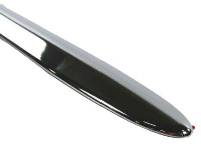 Dodge 55077728AA MOLDING Front Door