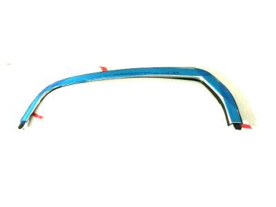 Ram 68309881AG MOLDING Day Light Opening Rear Door