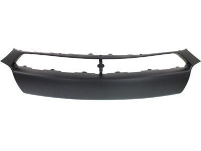 Dodge 1UT51TZZAA Applique Panel