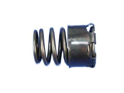 Dodge 68319331AA SPRING Exhaust Valve