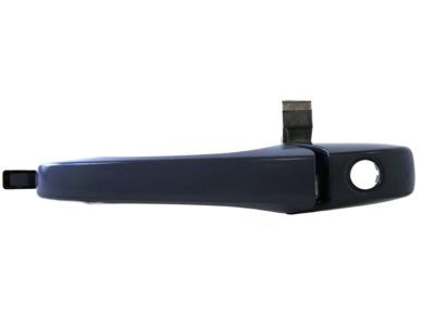 Chrysler Door Handle - WC81TZZAG