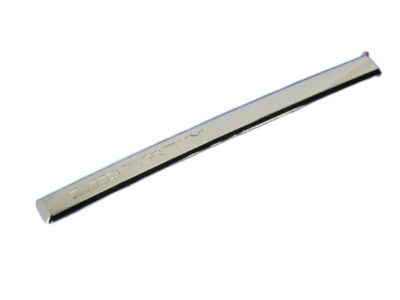 Jeep Door Moldings - 55157209AA