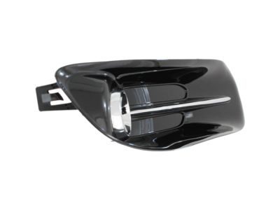 Mopar 68163975AB Lamp Cover, Front Driver Side