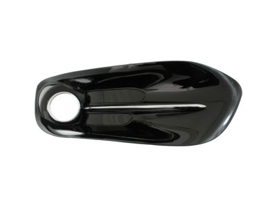 Mopar 68163975AB Lamp Cover, Front Driver Side