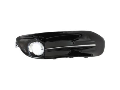 Mopar 68163975AB Lamp Cover, Front Driver Side