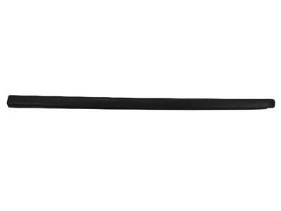 Ram 68297608AA MOLDING Windshield